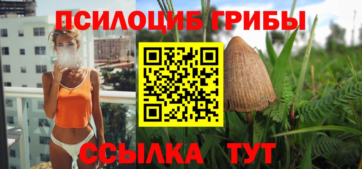 цены   Галлюциногенные грибы прущие грибы  Псилоцибиновые грибы мухоморы  Вход с VPN  Малоярославец 