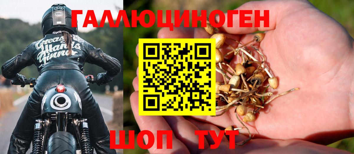 Псилоцибиновые грибы ЛСД Малоярославец